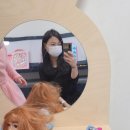 카페 권곡