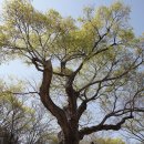 국우경로당 이미지