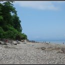 바다엔소나무 이미지