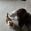 복주4길(옥동) 이미지