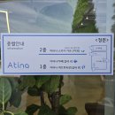 허브 식물과 향기의 이용 | [남원 아이랑 가볼만한 곳] 인스타 감성 그리스풍 이국적인 대형카페 '아티나' 힐링 후기