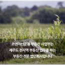 미준농장 네이버블로그