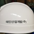 (주)태인개발