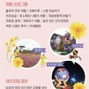 독립문주유소 화장실 | [전남 가을 축제] 부모님, 아이들과 나들이 가기 좋은 전남 10월 가을 축제 함평 국향대전