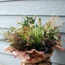 스타일담아 이미지