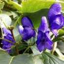 자연나라 이미지