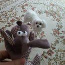 독스(Dog's) 이미지