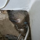 그린 (212) 이미지