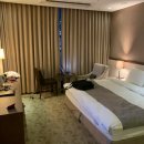 로사나부띠끄 관광호텔 이미지