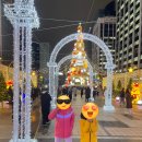 명동게스트하우스 꼬모 | [23.12월/서울] 1박2일 서울유람