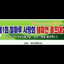 챔피언 호산 이미지