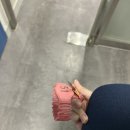 거제종합사회복지관 뒤 | 생애 첫 수영강습 후기! 초보 수영 첫날 준비물 리스트(갈월종합사회복지관 수영장)