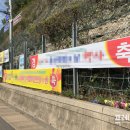 곡성유치원 이미지