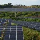 산지태양광발전소 이미지