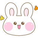 모어오아시스 이미지