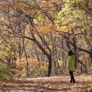 포천새맘요양병원 이미지