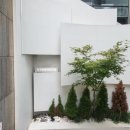 허브라인 | 바인허브한의원 V메타쉐이프, 라인이펙터 허벅지 관리 후기