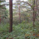 수비초등학교 이미지