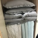 알퐁스펜션 | [강릉 안곡면] 알퐁스 (강릉숙소/에어비앤비/반려동물가능숙소/반려견동반가능)