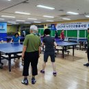 유성 이미지