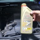 다나모터스 이미지