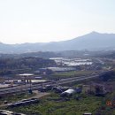 유천버스정류장 이미지