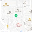 부광퍼피 이미지