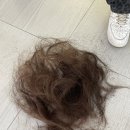 철이헤어샵 이미지