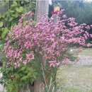 오션블루 이미지