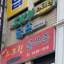 스카이 골프존 이미지