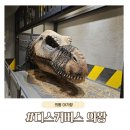 무지개할인마트 | 의왕 디스커버스, 32개월 아이와 다녀온 추천후기