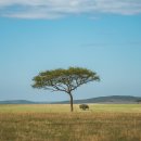 그린티 민박 이미지