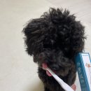 조타 생활과학연구소 이미지