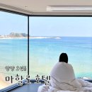 마할로 호텔 | [양양] 파노라마 오션뷰가 펼쳐지는 강원도 감성 숙소 마할로 호텔 (내돈내산)