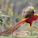 대곡2리 마을회관 이미지