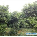 백운골농장 이미지