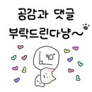 늘예쁜헤어 네이버블로그