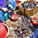 지내보건진료소 이미지