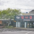 제주탐라돈 이미지