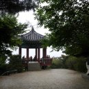 비래초교 이미지