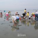 동백꽃마을 이미지