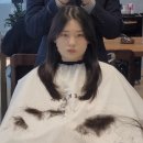 아름터프라자 앞 | 손상없는 레이어드펌 [이가자헤어비스 구리갈매점]