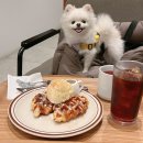 카페 워크샵(cafe workshop) 이미지