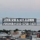 궁전모텔 | 거제시(거제도)고현동 모텔 초초급매(경매)