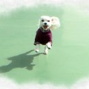 옥상바람