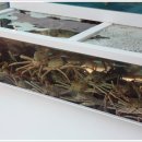 증포우편취급국 이미지