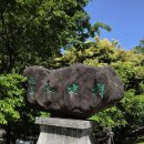 칠순 기념 제주도 가족 여행 겸 오름 투어/6박7일,3일차(2026.5.16.토) 이미지
