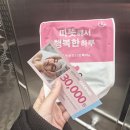 보테에스테틱 이미지