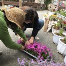 외궁초등학교 이미지