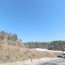 안성114공인중개사사무소 이미지